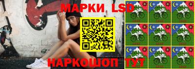 амф Новодвинск