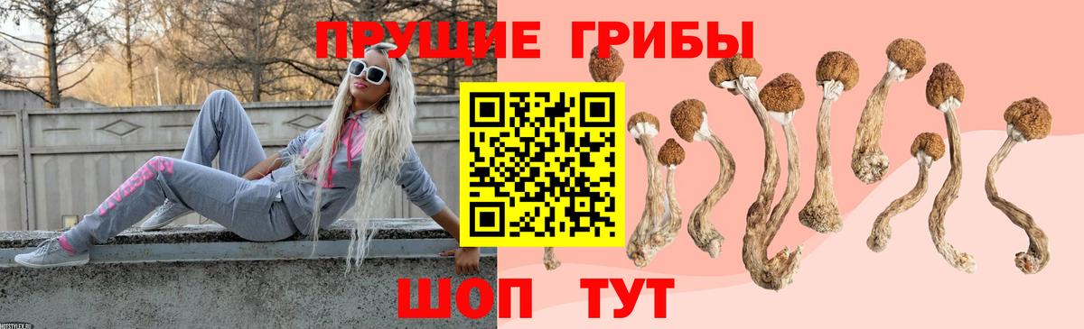 Псилоцибиновые грибы мухоморы  Вход с VPN  купить наркотики сайты  Ртищево 
